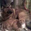 Aida Muller