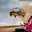Yones Titunium Alloy Rowland
