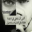 قطة احلامي قطة احلامي