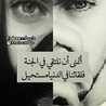 قطة احلامي قطة احلامي