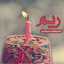 surby13