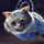 CheshireCat CheshireCat