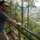 mas radhit
