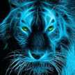leonel Flores