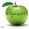 د.جود شماع