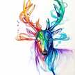 Ghadeer Mansour