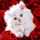 Mishmisha Yassin Mohmed Mishmisha Yassin Mohmed