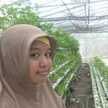 Novi Kristanti
