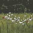 Aftab