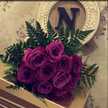 noraeeh