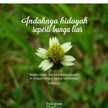 Nur Hidayah