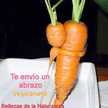 Nestor Anibal Cappelloni