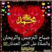 الزنبقه الشاميه🌼