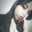 Geraldine Aime Toloza