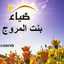 ضياء الحسبان ام اويس