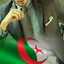 Jawad Ahmed Basset