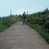 Isma Fitria Isma Fitria