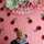intan