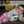 Ambreen Shahid