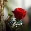 ام رامز