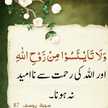 Haya Fatima