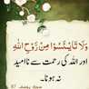 Haya Fatima