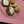Verin Gutierrez