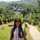 varsha Jain varsha Jain