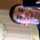 greywarden98973 greywarden98973