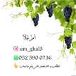 ام غلا