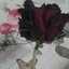 ♥Enas♡