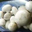 Wema Mushrooms