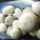 Wema Mushrooms Wema Mushrooms