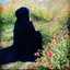 Asma Asoma