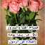 ياسر ياسر