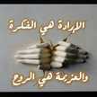 ام ايوب