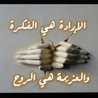 ام ايوب