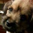Gonza V.V