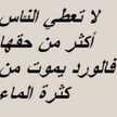 كرهتك انته ويامك