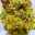 Cookingwith_Fasbir
