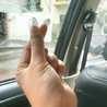 defika aufa
