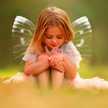Pari Payker