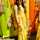 Helly Unadkat Helly Unadkat
