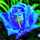 brujinastur brujinastur