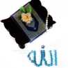 Syeda Tania Mila