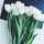 RUBA_14 RUBA_14