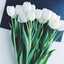 RUBA_14