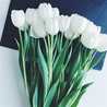 RUBA_14