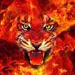 firecat