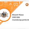 Mulyadi Wijaya
